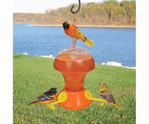 Flite Line Oriole 52 oz. 3 Feeding Stations