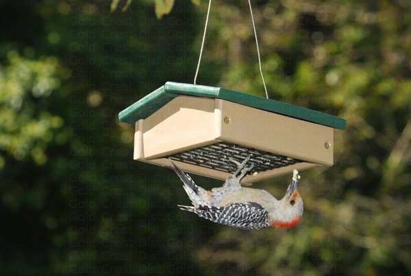  Upside Down Suet Feeder Hunter Driftwood