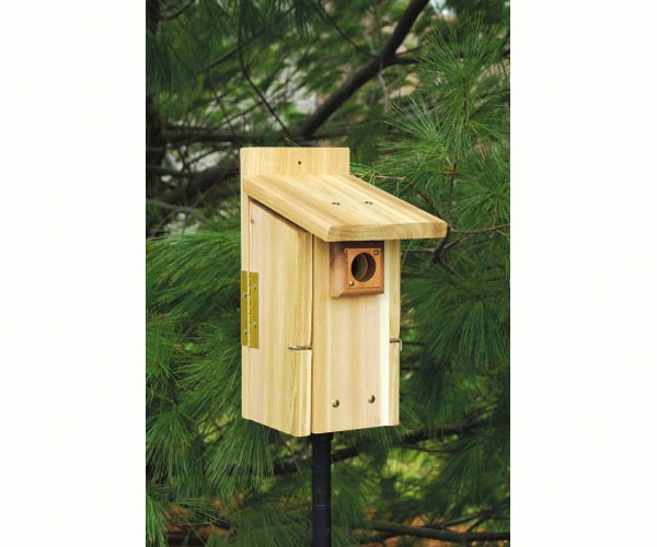Ultimate Bluebird House with Portal Protector