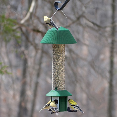 Squirrel Defeater Bird Feeder