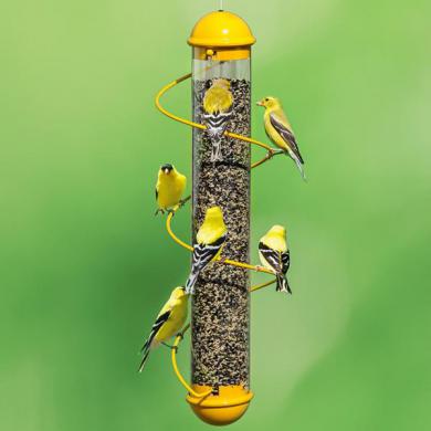 Songbird Essentials 17.5