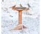 Free Standing Heated Bird Bath With Thermostat