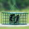 Squirrel Resistant Suet Feeder Palace 2