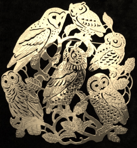 Barn Owls of North America Pin