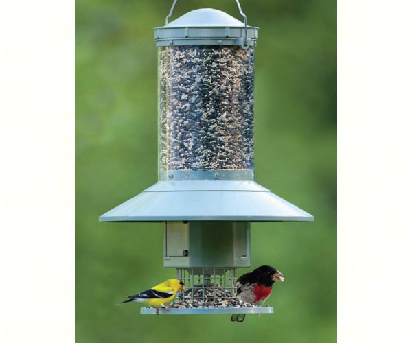 bird feeder automatic