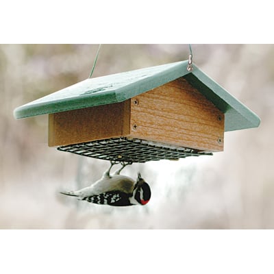 Woodlink Audubon Going Green Upside Down Suet Feeder