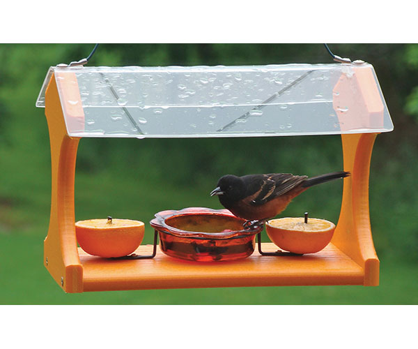 Recycled Oriole Feeder