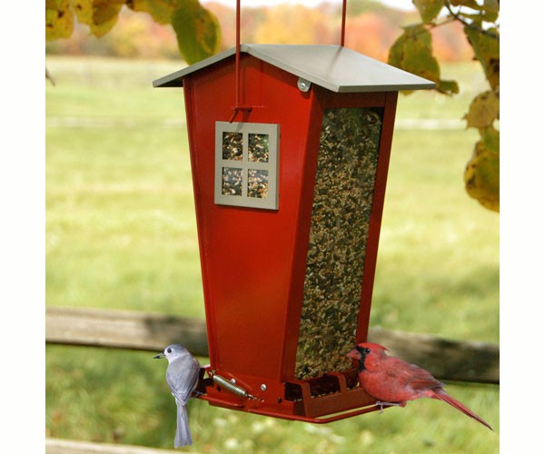 Snack Shop Squirrel Resistant Bird Feeder