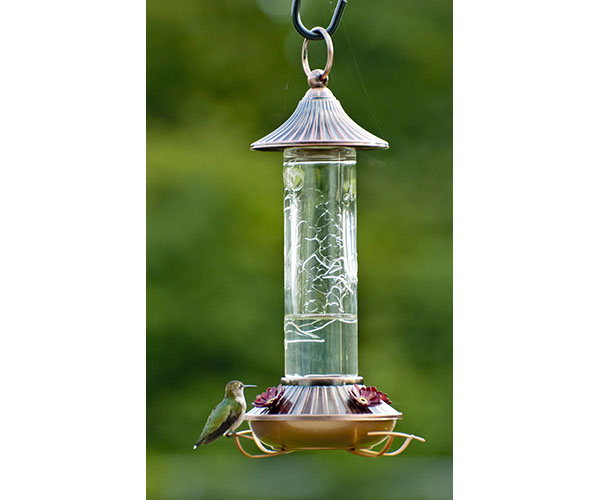 14 oz. Embossed Glass Hummingbird Feeder