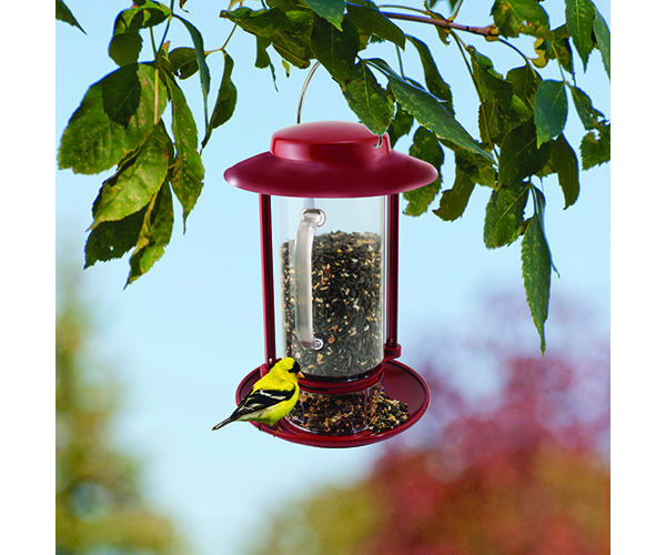Combination Hopper Seed Scoop Bird Feeder Unique Idea