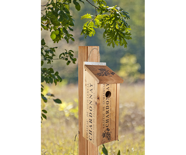 Novelty Wine Crate Bluebird House