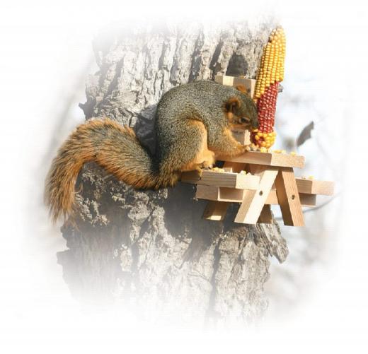 Woodlink Picnic Table Ear Corn Squirrel SPIN Feeder