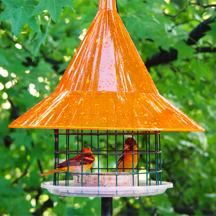 Arundale SkyCafe Sunset Orange Oriole Feeder -[AR500OR]  