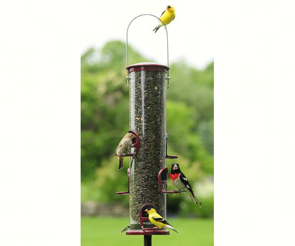 Aspects Big Tube Seed Feeder Burgundy Cardinal Perches