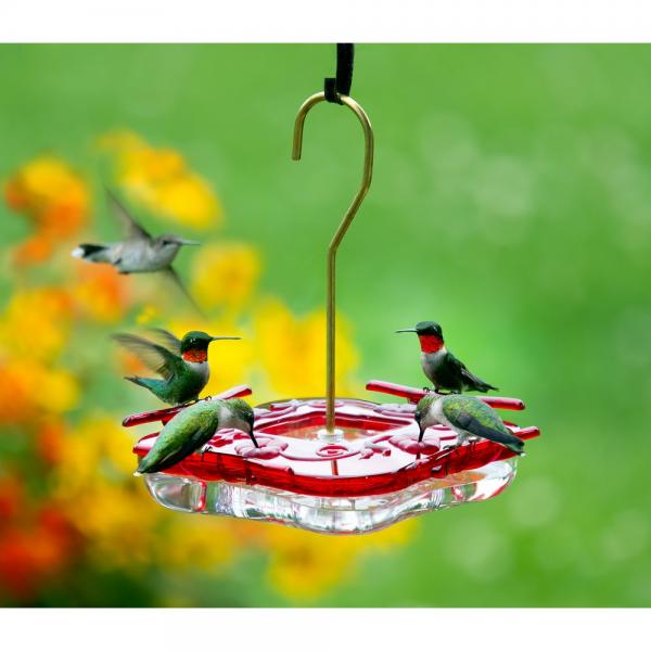 HummZinger Square 8 oz Hummingbird Feeder