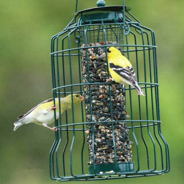 Petite Caged Seed Feeder