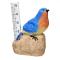 Cardinal Rain Gauge 1