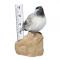 Cardinal Rain Gauge 2