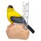 Cardinal Rain Gauge 3