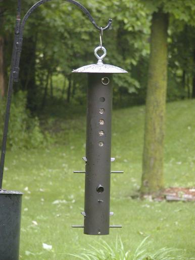 Bear Proof Indestructable Bird Feeder