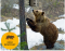 Heavy Duty Bear Proof Bird Feeder 3