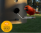 Heavy Duty Bear Proof Bird Feeder 4