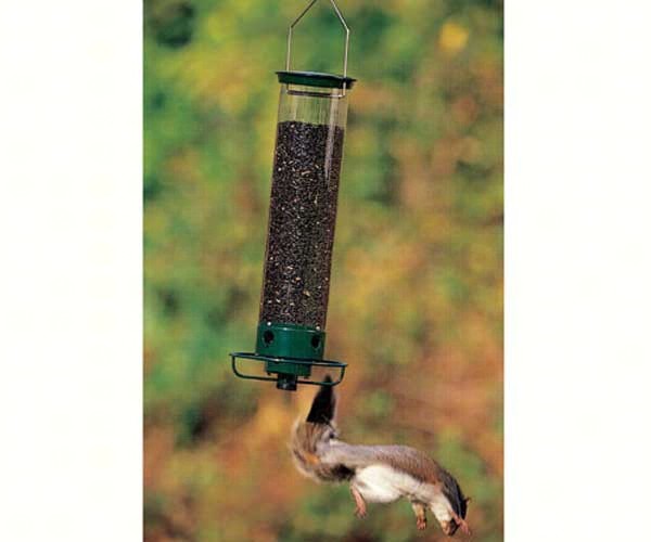 Droll Yankees Flipper Tube Bird Feeder