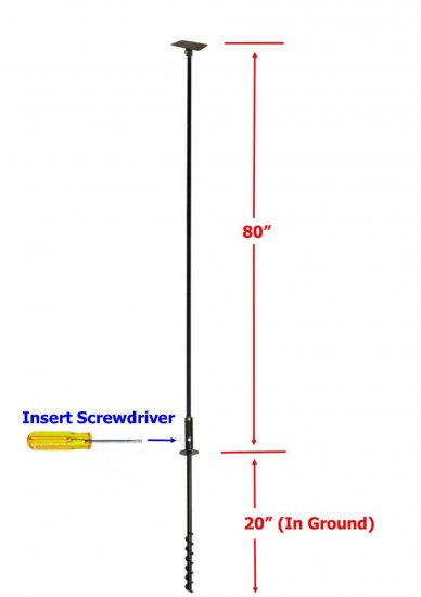 FP5Tsetpic2.jpg