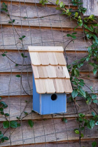 Fruit Coops Birdhouse