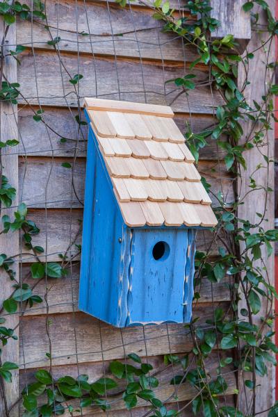 Heartwood Bluebird Bunkhouse Bird House 192