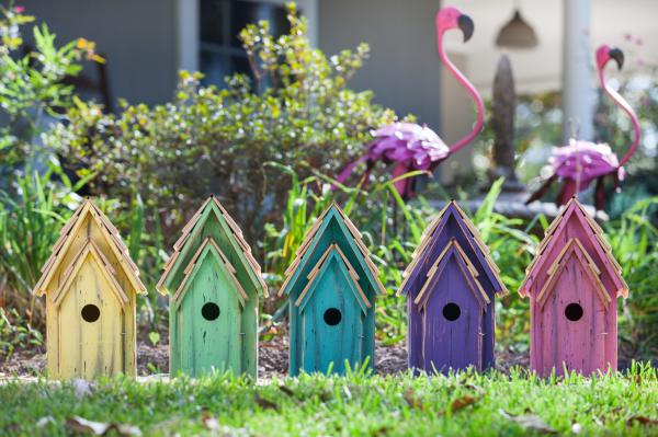 Bluebird Brights Birdhouse 263