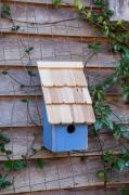 BirdHouses101717-42-1fruitcoop.jpg