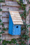 BirdHousesbunkhouse192A.jpg