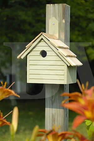 Heartwood Cape Cod Wren Birdhouse-039A