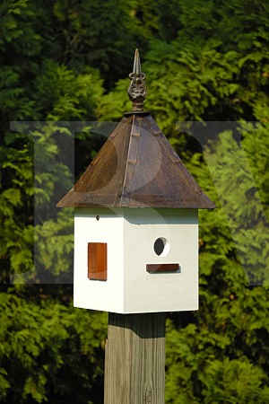 Heartwood Songbird Suite Birdhouse-078A