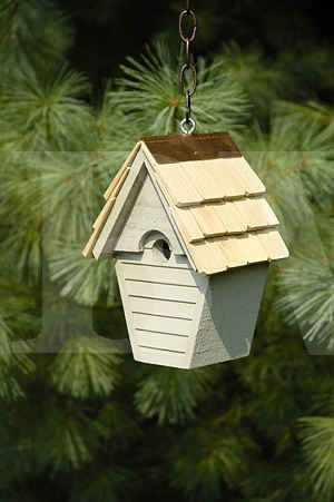 Heartwood Wren in the Wind Birdhouse-082A