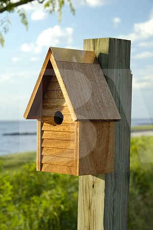 Heartwood Starter Home  Birdhouse-108F
