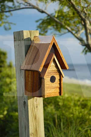 Heartwood Wrental House  Birdhouse-109F