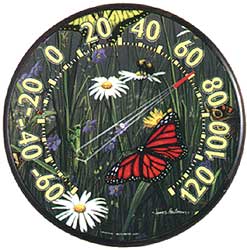 01754.jpg