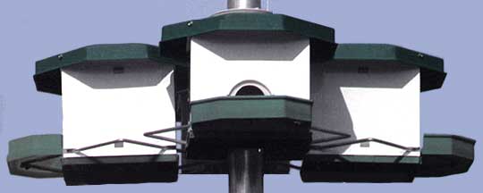 7540.jpg