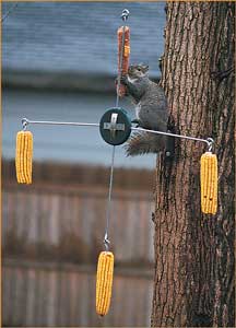 Heritage Farms Squirrel Go Round Feeder