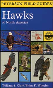 Peterson Field Guide To Hawks