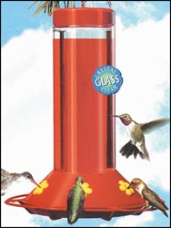 Perky Pet Hummingbird Feeder 30oz Glass W/ 6 Fountains