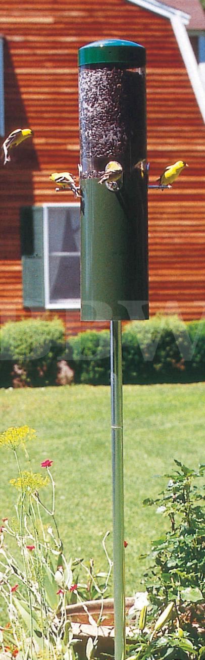 Original Classic Squirrel Proof  Bird Feeder  Package