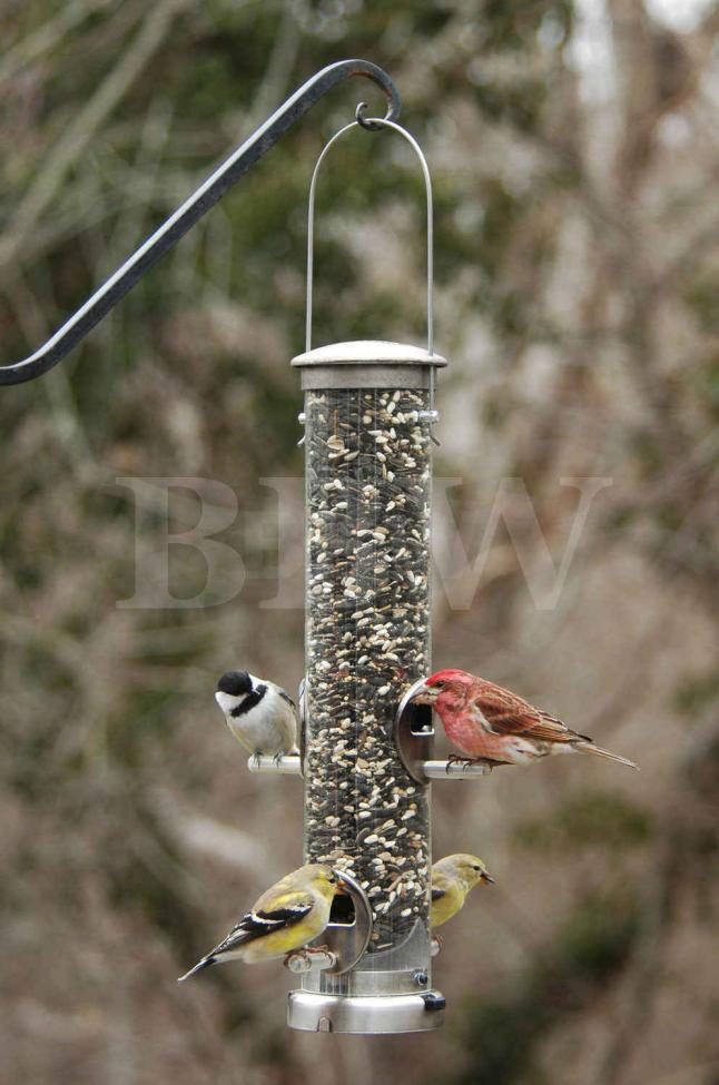 Aspects Medium Brushed Nickel Seed Tube Feeder Quick Clean