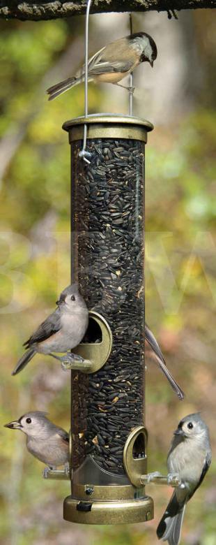 Aspects Medium Antique Brass Seed Tube Feeder Quick Clean