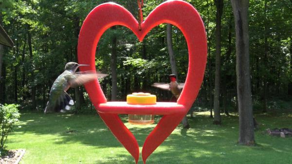Recycled Poly Red Heart Hummingbird Feeder