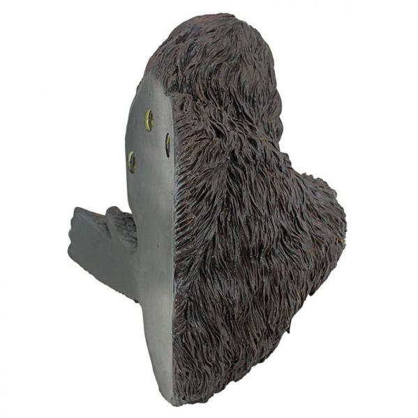 DB583078_5bigfoot.jpg