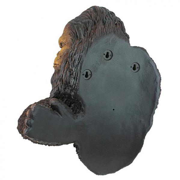 DB583078_6bigfoot.jpg