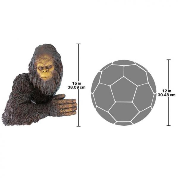 DB583078_7bigfoot.jpg